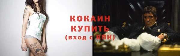 apvp Гусь-Хрустальный
