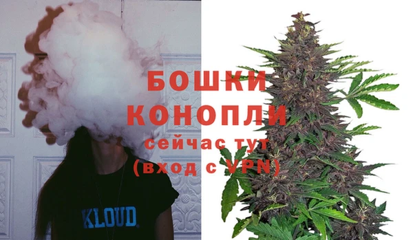 спайс Гусев