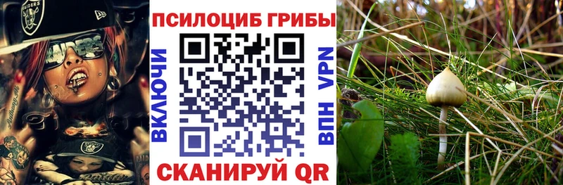 blacksprut как войти  закладка  Дыгулыбгей  Галлюциногенные грибы прущие грибы 