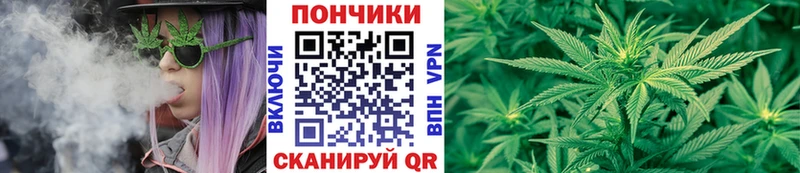 Бошки Шишки план  Дыгулыбгей 